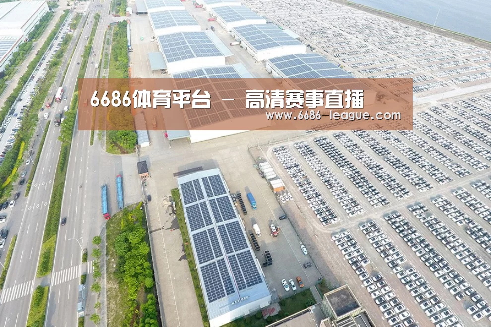 案例展示四