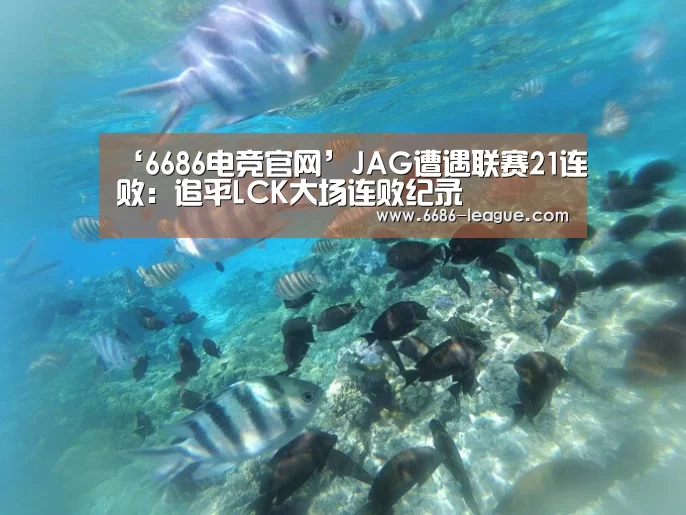 6686体育平台